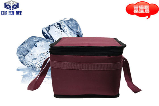 Thermal Insulation Cold Chain Packaging Cooler Bag 0.9L For Travel Insulated Food Bags